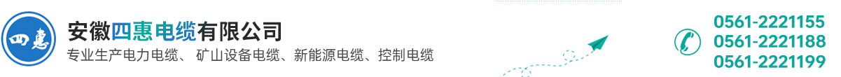 安徽四惠电缆有限公司 